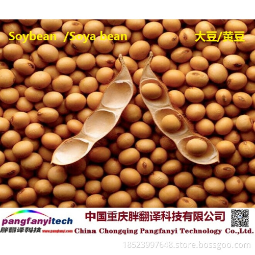 Healthy Nutritious Self-planted Dried Soybean